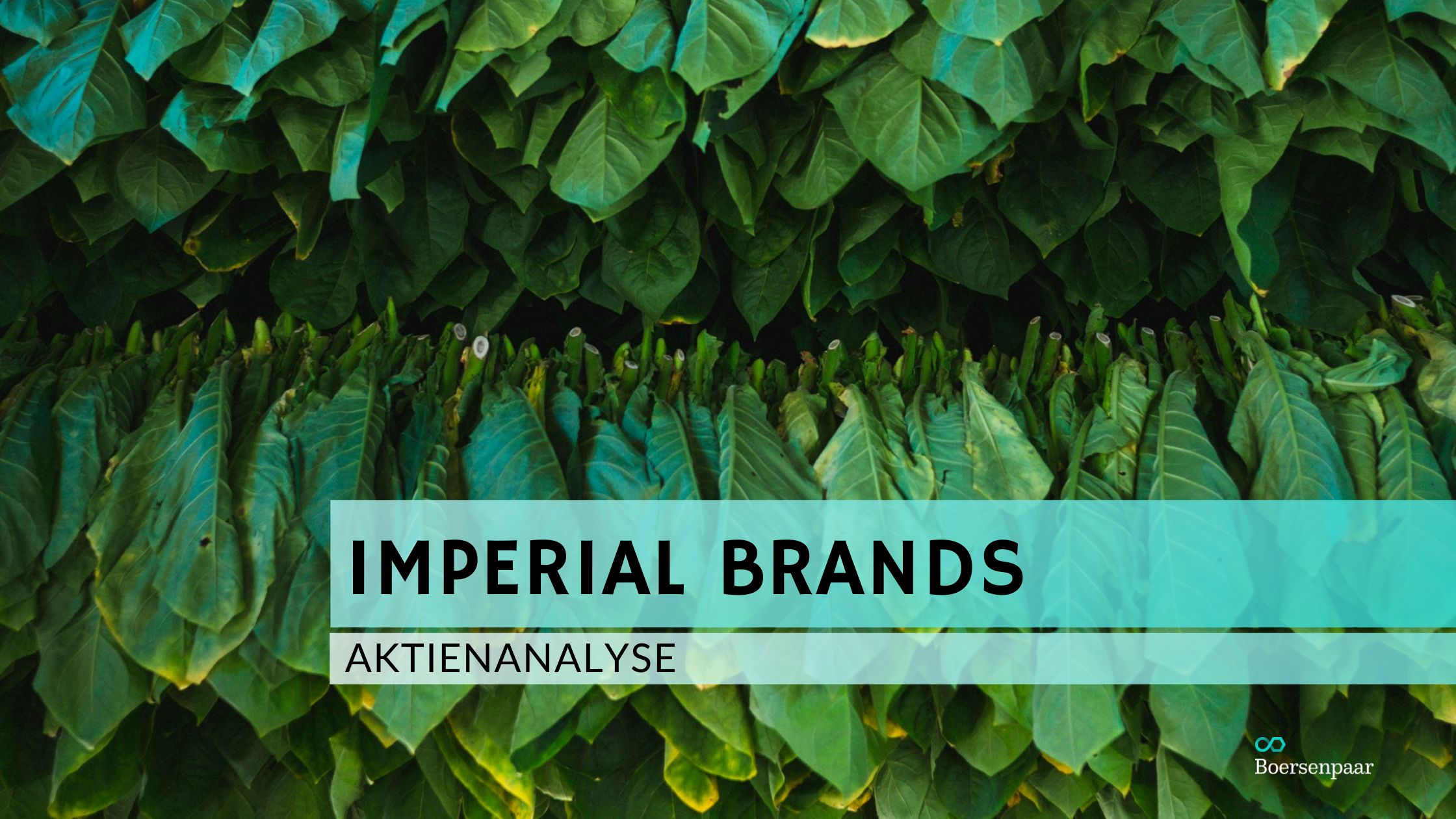 Imperial Brands Aktienanalyse